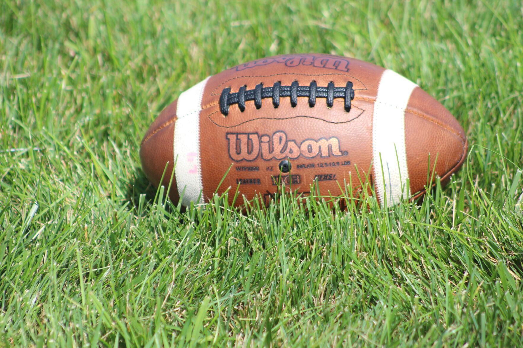 High school football: Wisconsin’s Associated Press state rankings