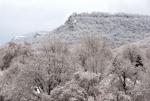 Picture perfect snow