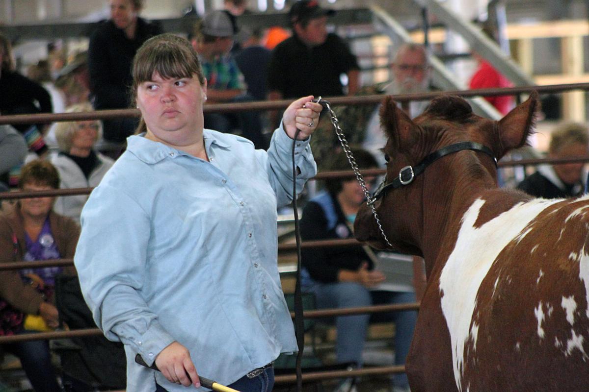 Scenes from the 2017 Jackson County Fair