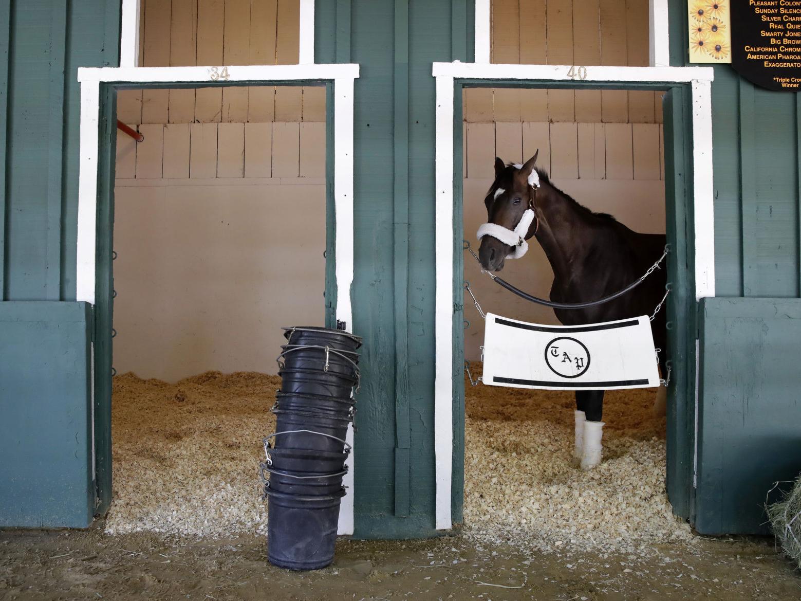 Always Dreaming Checks Into Pimlico S Stall 40 For Preakness