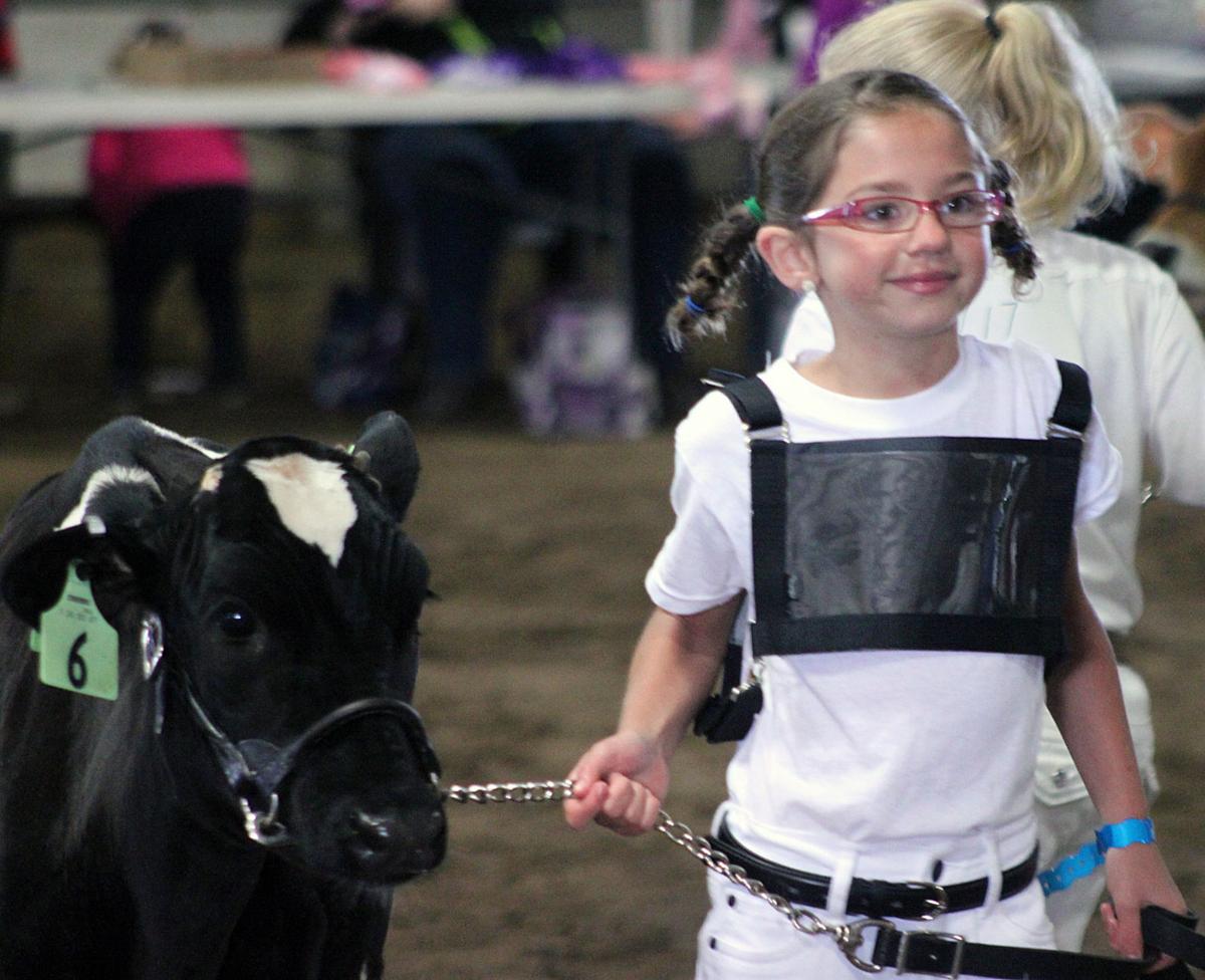 Scenes from the 2017 Jackson County Fair