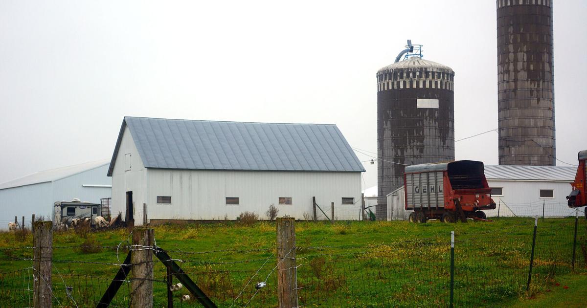 Norwegian Ridge Lab Norwegian Ridge farm life explored in new documentary