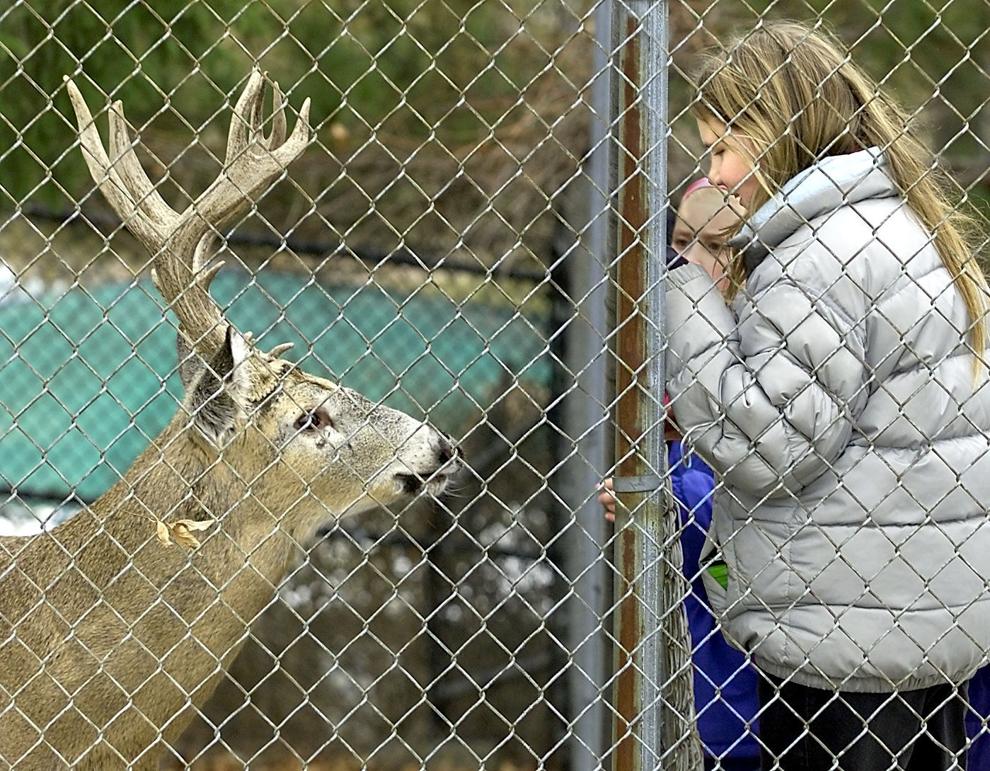 UPDATE Reopen the Myrick Park Zoo? Mayor candidate supports it