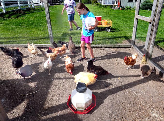 Summer Break Escape to Rainbow Ridge Farm Camp