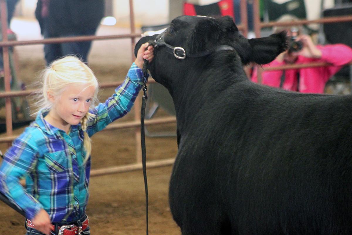 Scenes from the 2017 Jackson County Fair