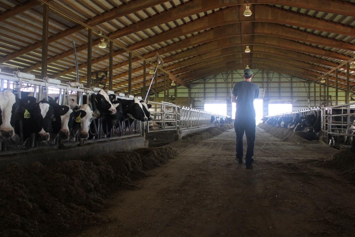 Hawk High Dairy, LLC
