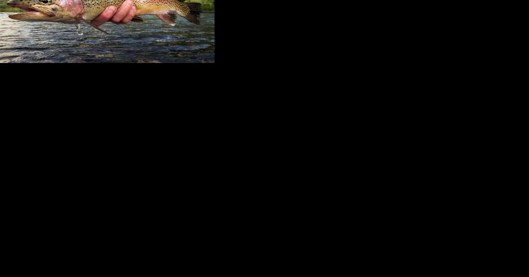 Reminder: Inland trout fishing season closes Oct. 15 - Vimarsana News