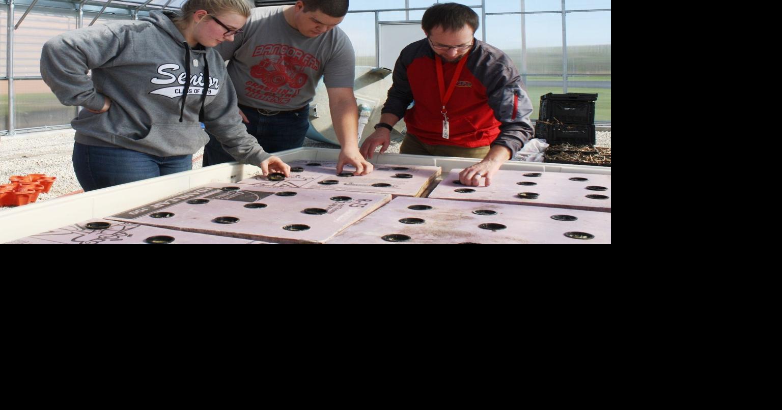 Bangor School Board votes to move ahead with referendum