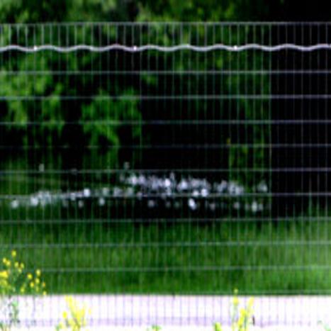 New Rules Would Let Dogs In Riverside Park Local News Lacrossetribune Com