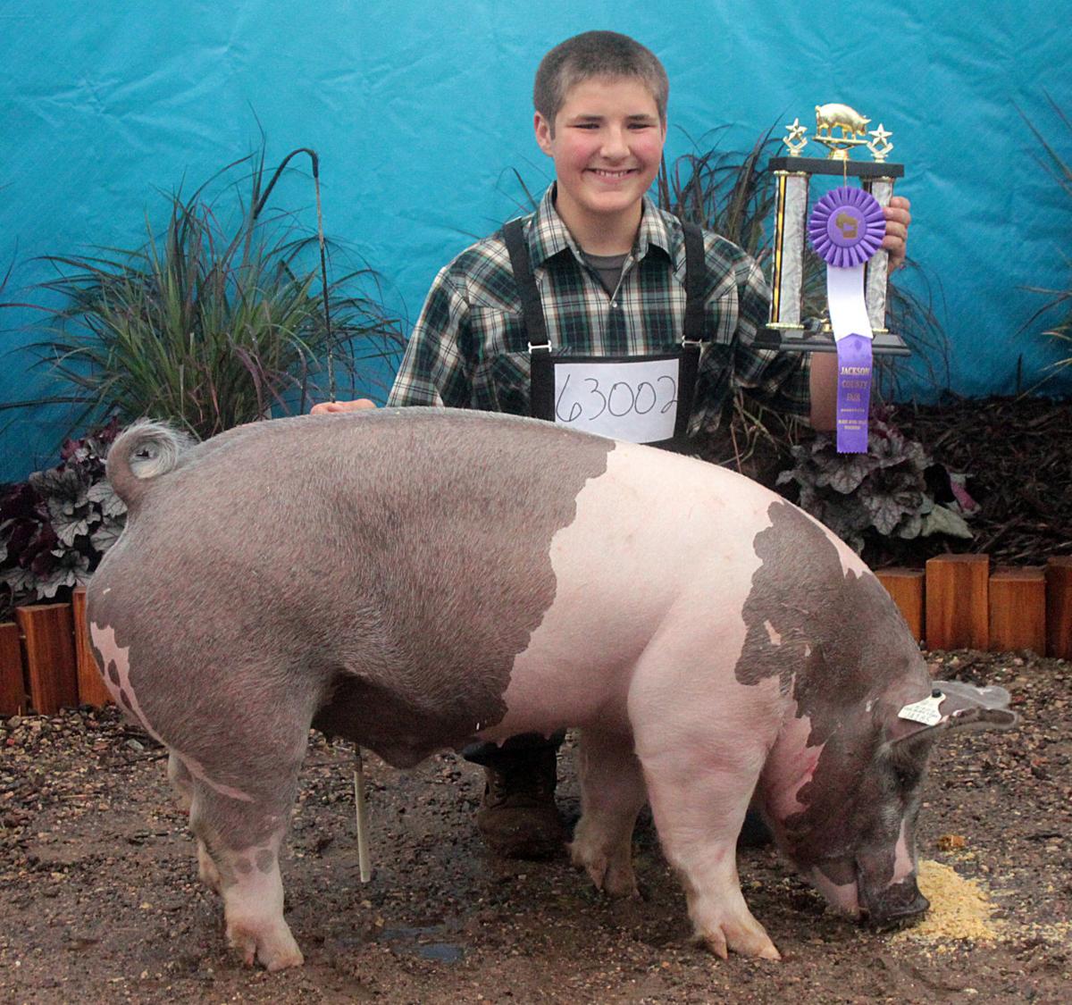 Scenes from the 2017 Jackson County Fair