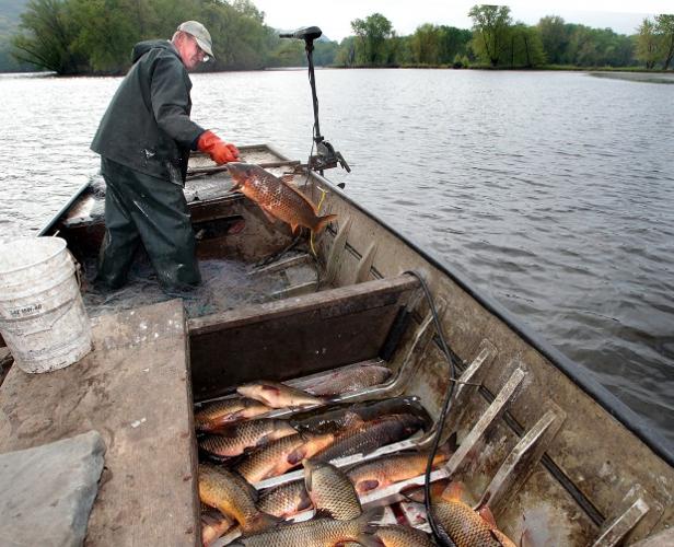 Commercial fishing a fading trend on the Upper Mississippi
