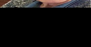 Arnold R. Jacobson - Vimarsana News