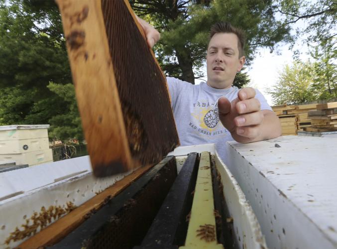 For Wisconsin beekeepers, a question To migrate, or not?