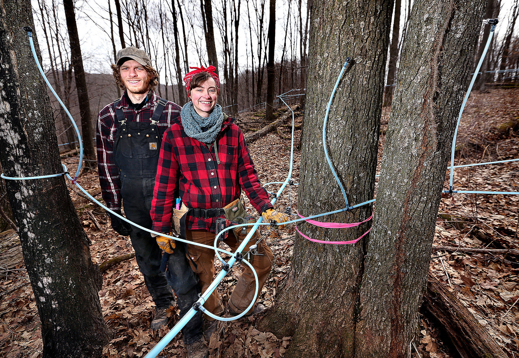 Sap Is Flowing At Expanding B&E's Trees Maple Syrup Farm | Local ...