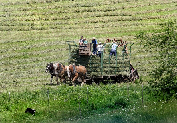 Day Trip Amish Life In Cashton