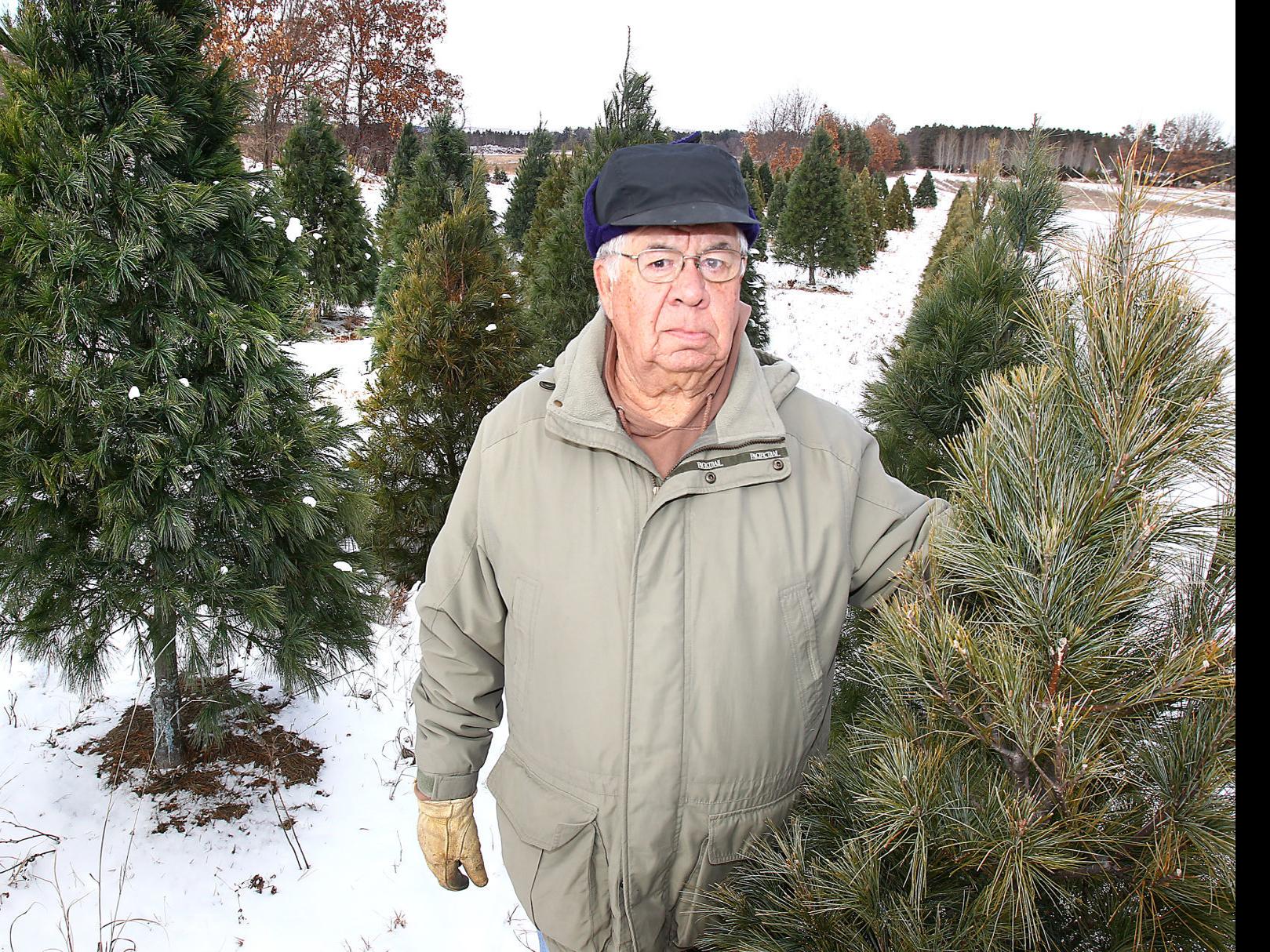 Wisconsin Christmas Tree Supply Plentiful But Fewer Farmers Remain Local News Lacrossetribune Com