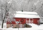 Picture perfect snow