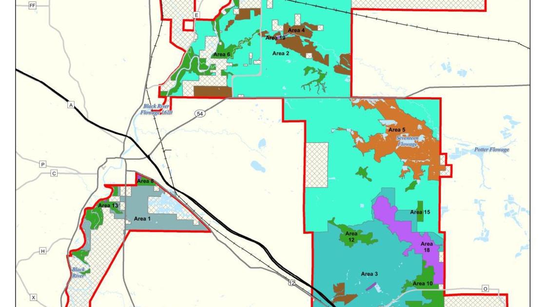 Black River State Forest updated management map
