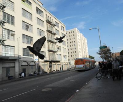 Downtown Divided Over Skid Row Neighborhood Council