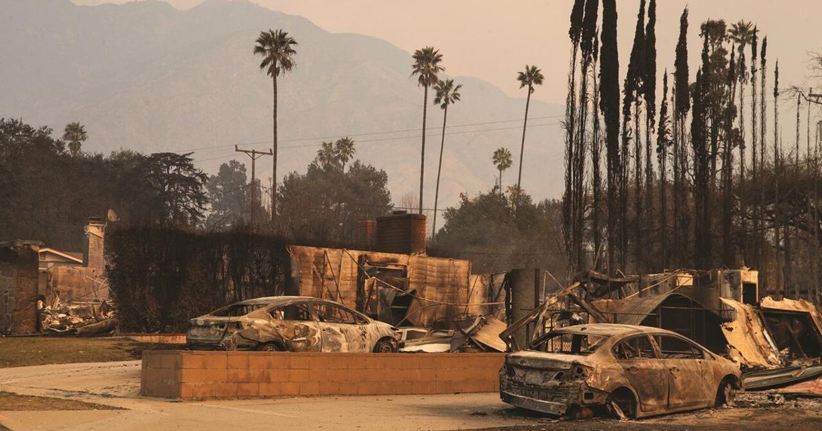 Relief in Action: Molson Coors supplies aid for service industry | News Relief in Action: Molson Coors supplies aid for service industry | News