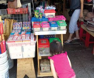 Illegal Turtle Sales In Chinatown Leave Some Shell Shocked News