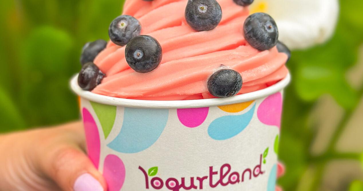 Yogurtland's Summertime Sensation: Lose your 'rind' with watermelon lemonade sorbet | Business - Vimarsana News