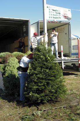 96-Foot Christmas Tree Makes Its Way To South Coast Plaza - CBS Los Angeles