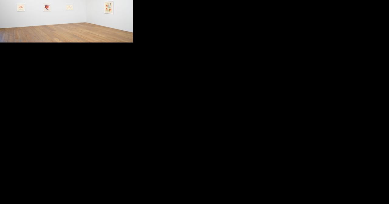 'Noon Has No Shadows': Dual exhibitions recall life, art of Rosemary Mayer | Arts and Culture - Vimarsana News