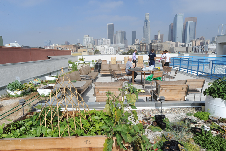 A Community Garden Blooms On A Skid Row Rooftop News