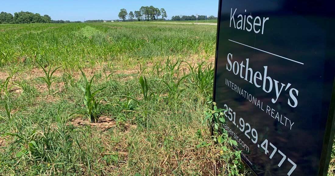 Fairhope City Council approves raises for elected officials, property purchase, boutique hotel