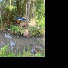 Dam it — Foley officials to remove “Taj Mahal” beaver dam replete with