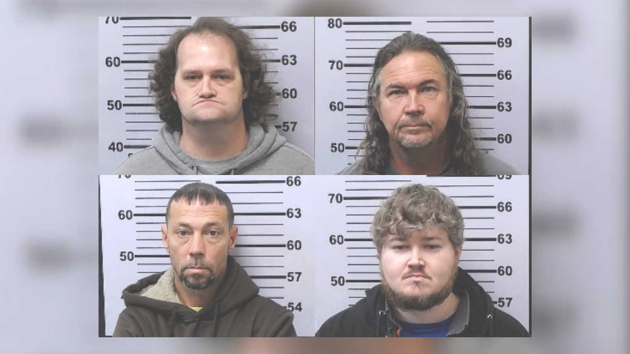 Deputies arrest 4 in child exploitation operation | News ...