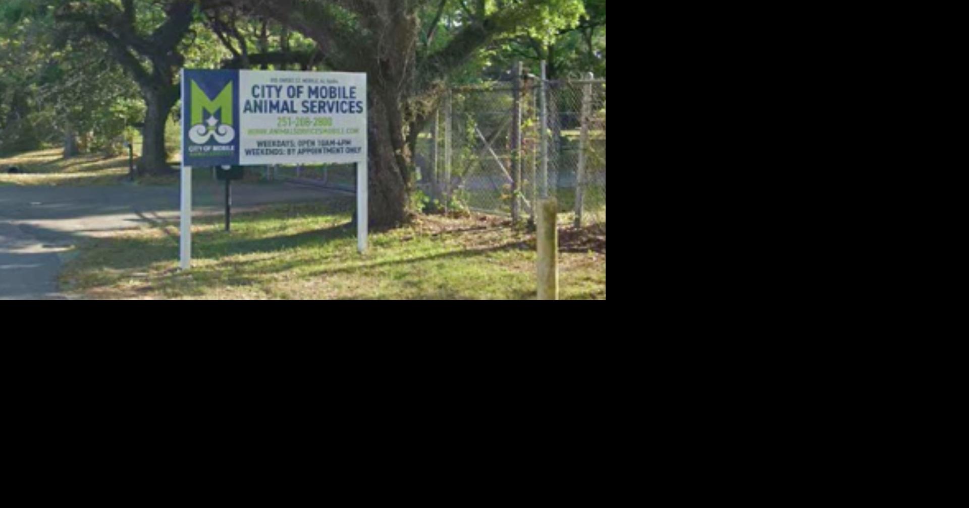 Dog influx overwhelms Mobile shelter