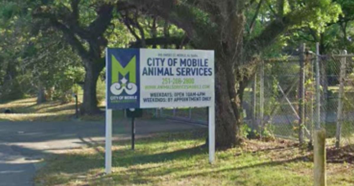 Dog influx overwhelms Mobile shelter