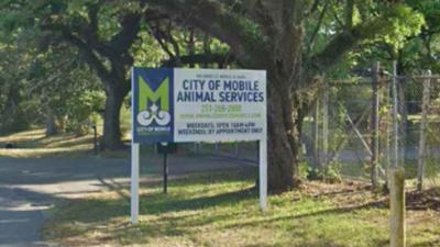 Animal Services shelter sign