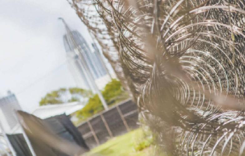 Officials discuss lucrative commissary program at Metro Jail Downtown