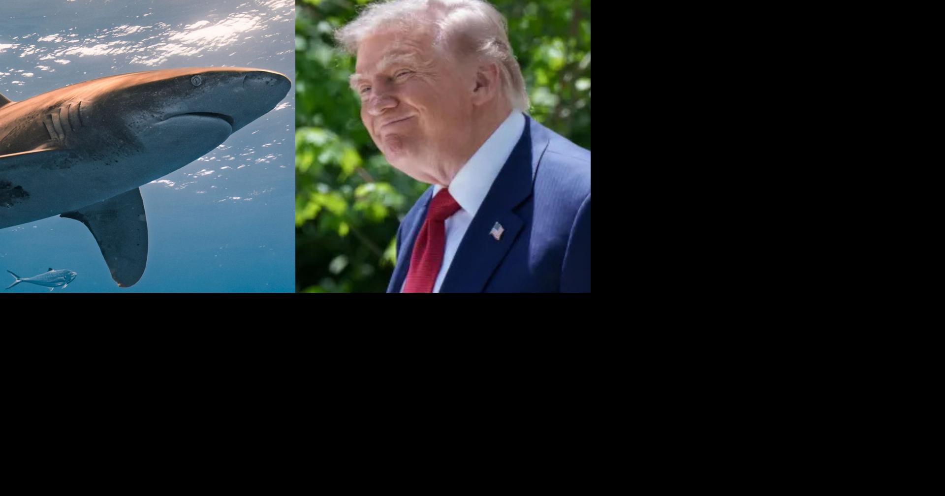 Trump to authorize ‘shark alert'