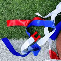 1A-4A, Region 1 flag sports 8-team lineup