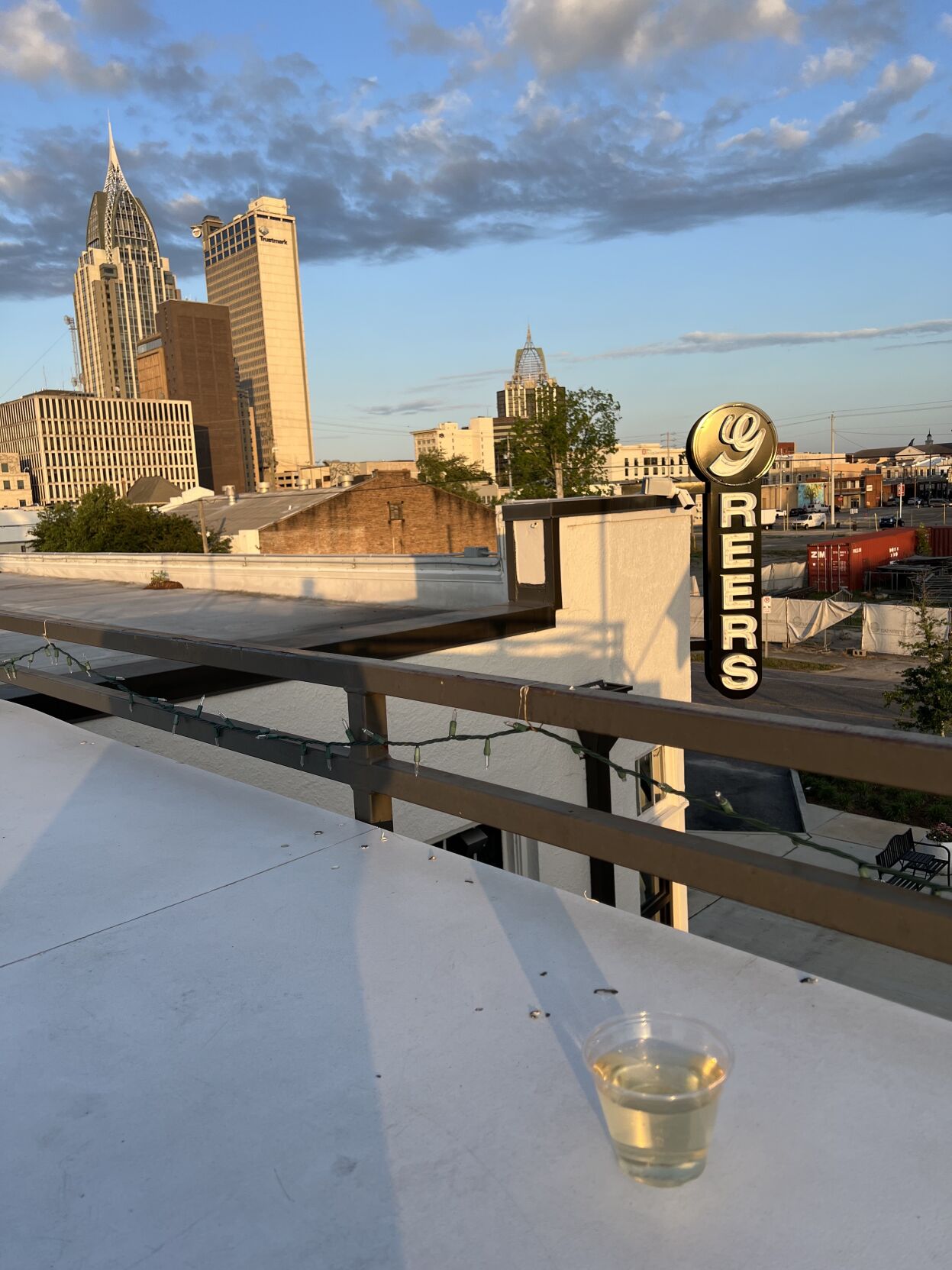 Which downtown rooftop bar is right for you? Cuisine