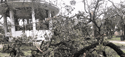 Screen Shot 2020-09-23 at 10.51.49 AM