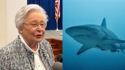 Ivey Shark
