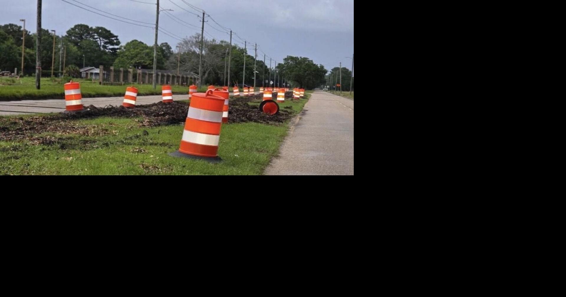 Oak removal was ‘atrocity,' tree commish says