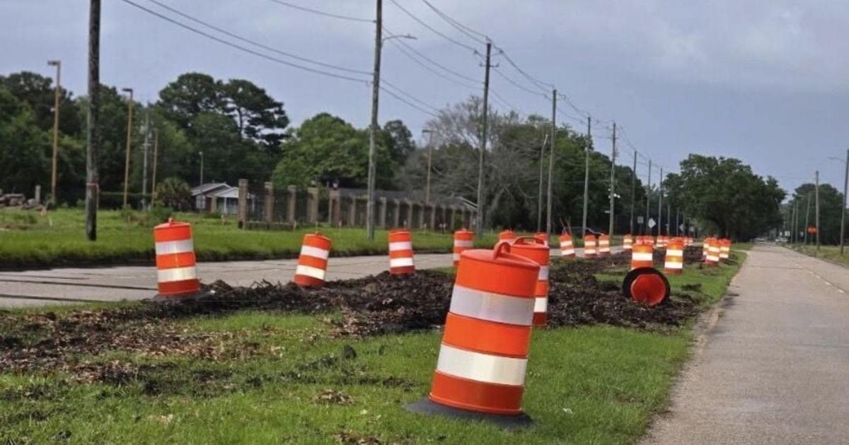 Oak removal was ‘atrocity,' tree commish says