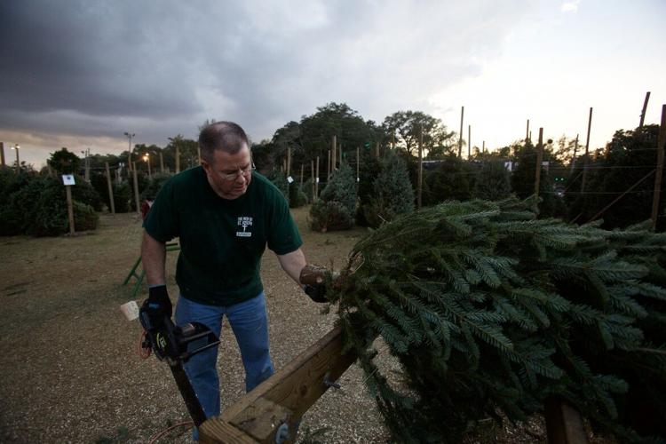 Optimist Club’s Christmas tree tradition Style Feature