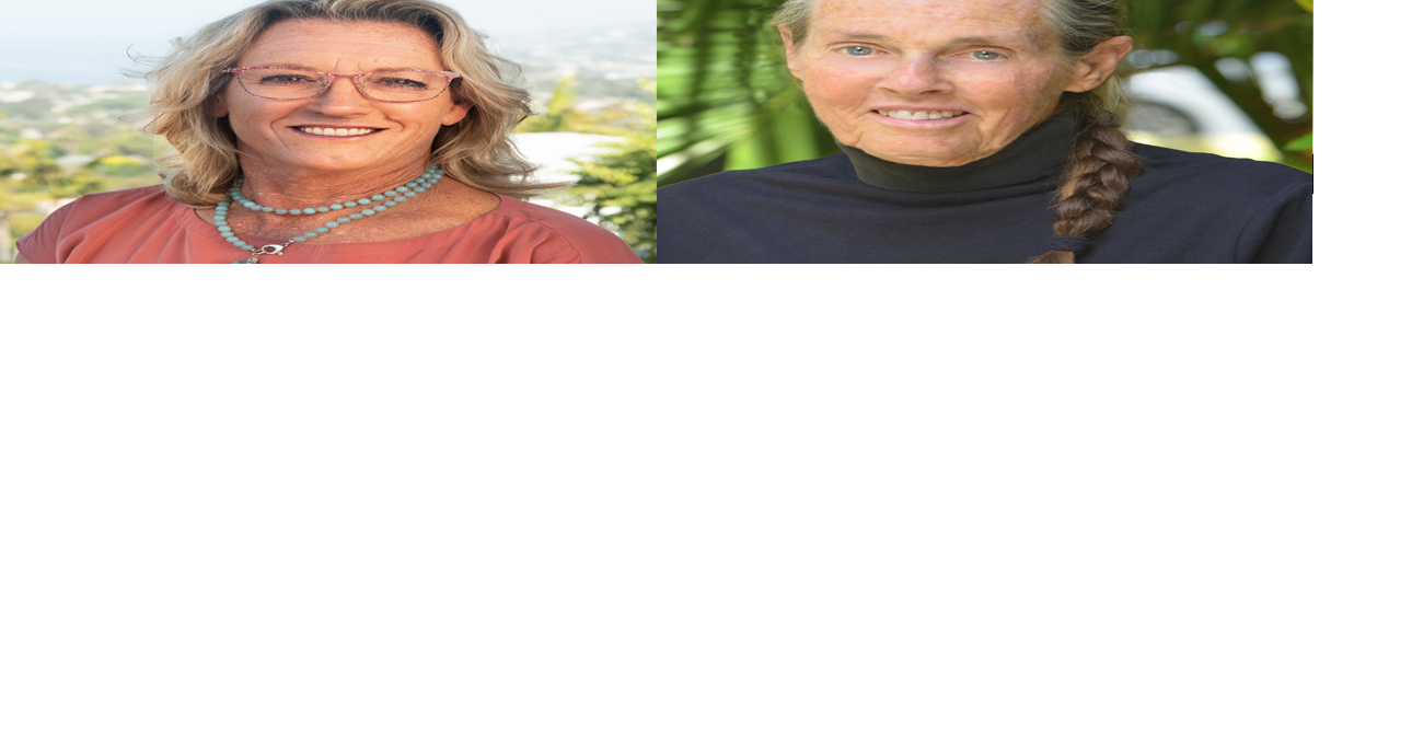 Laguna Beach school board candidates talk child care, term limits Do