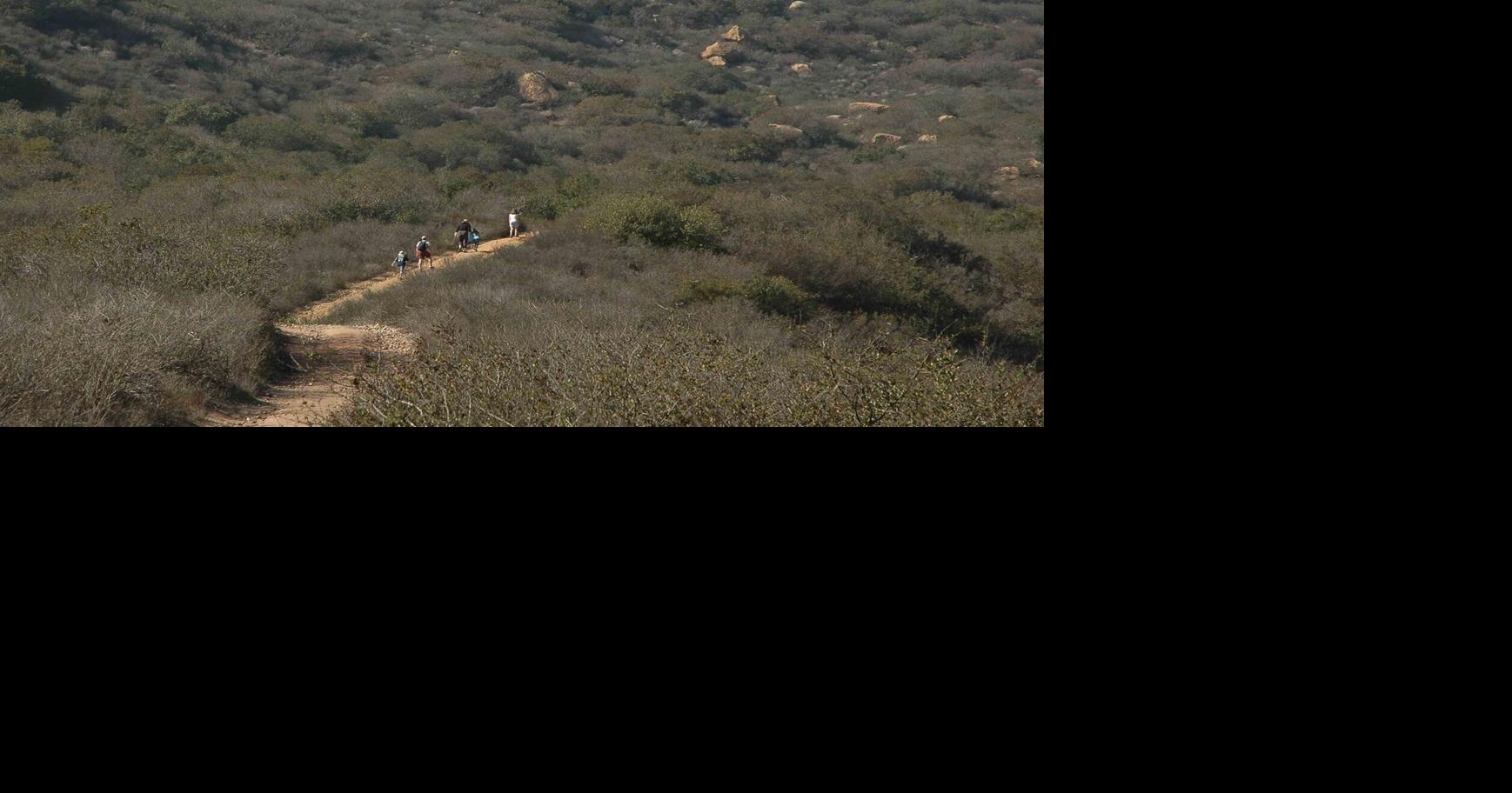 Council Nixes Widening Canyon Road News