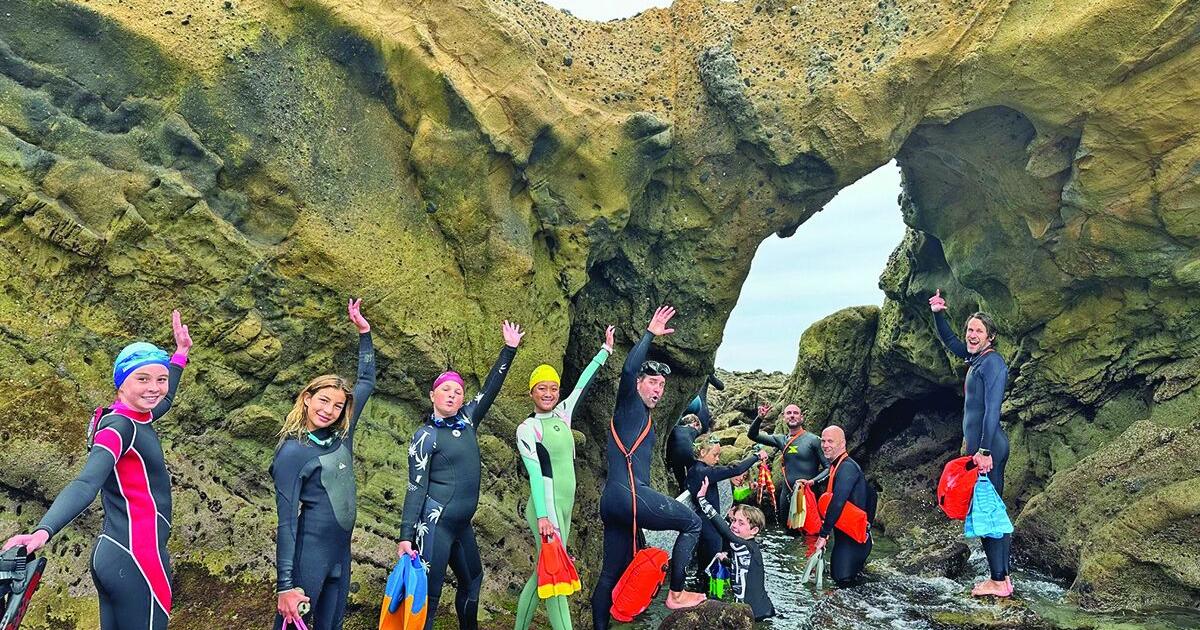 Laguna Youth Dive in to Save Sea Lions