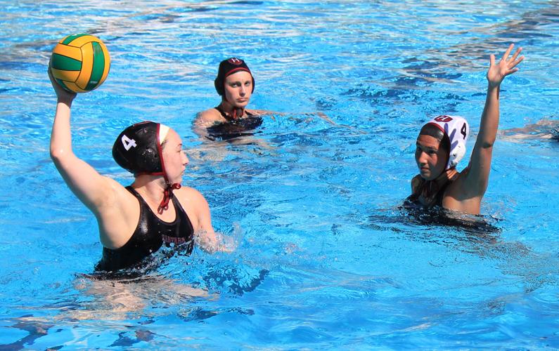 Harvard Duo Bring Their Game Back Home Sports