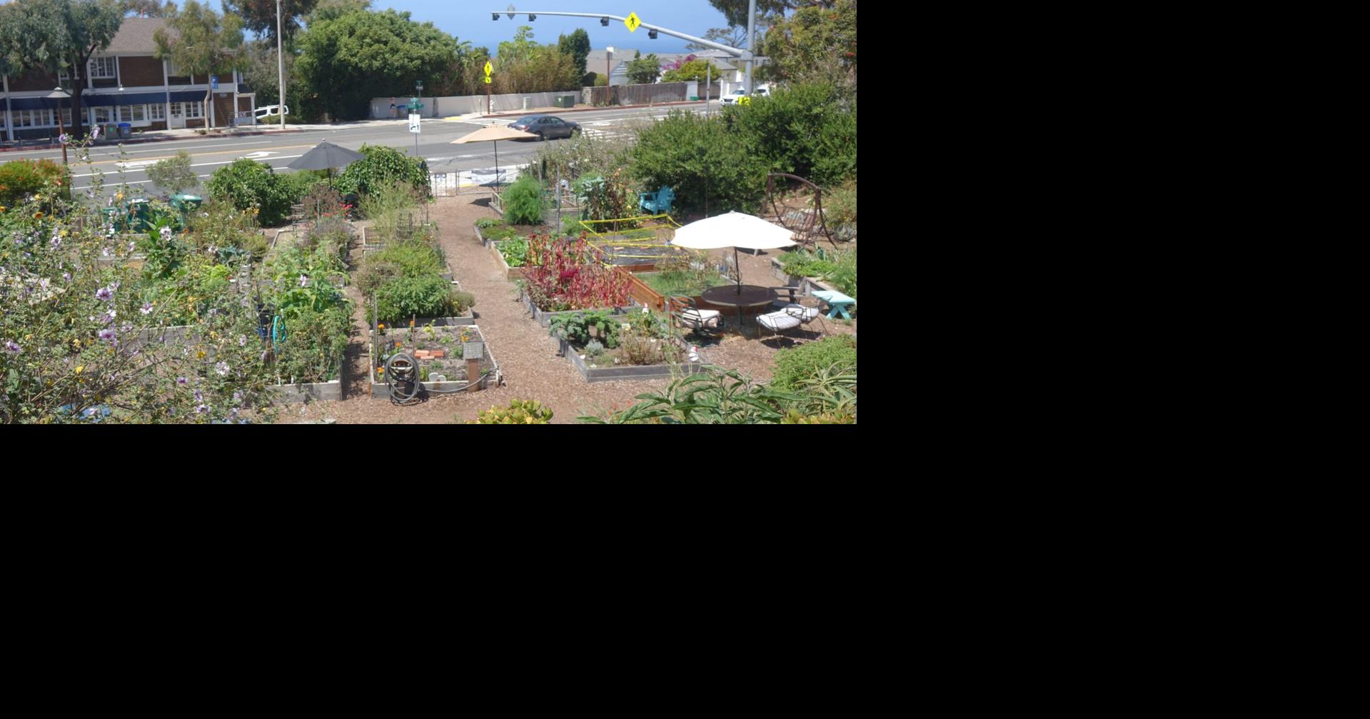 Learn sketchbook journaling at Heisler Park News