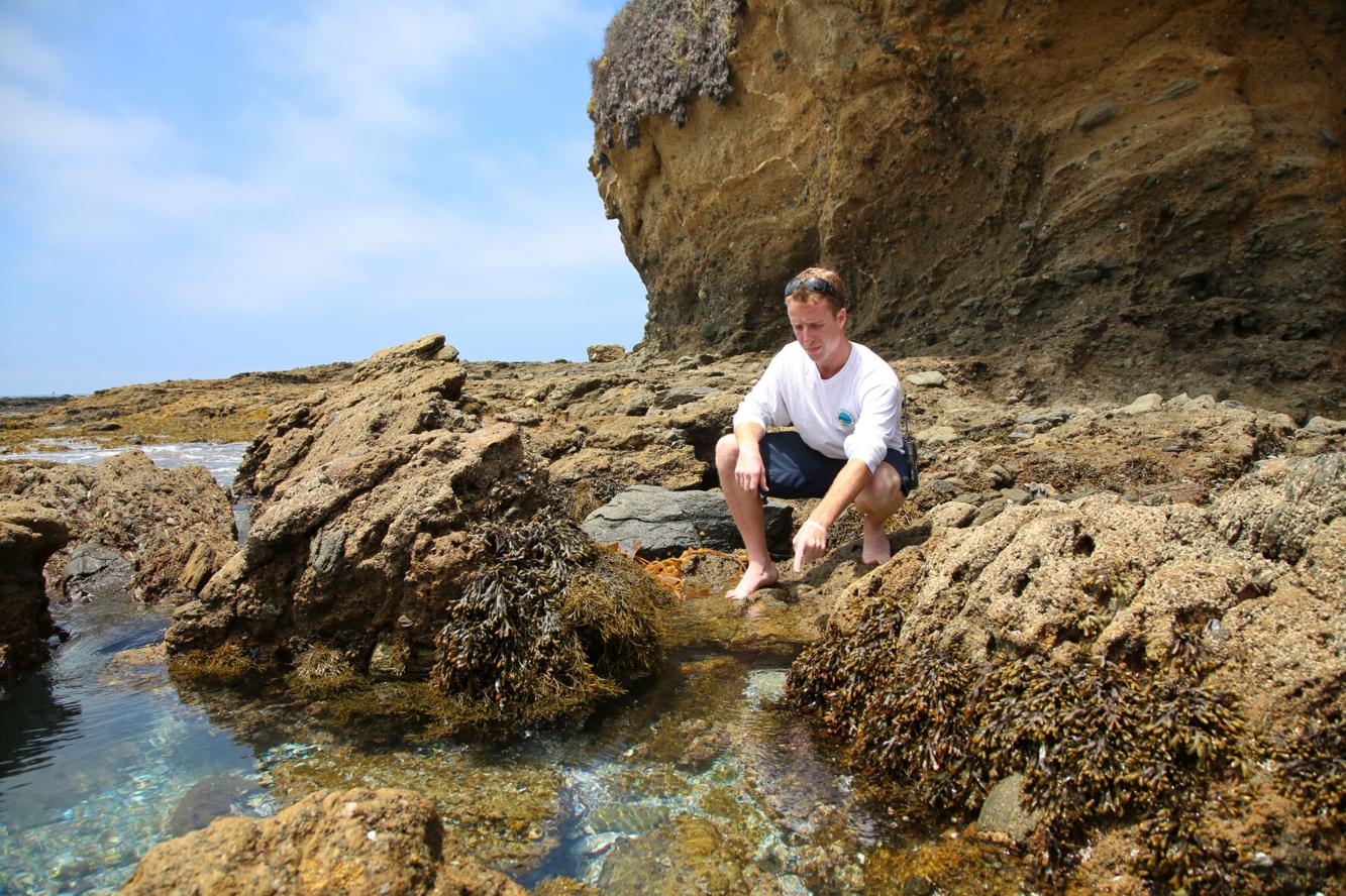 Diving in to Protect Laguna’s Treasure News